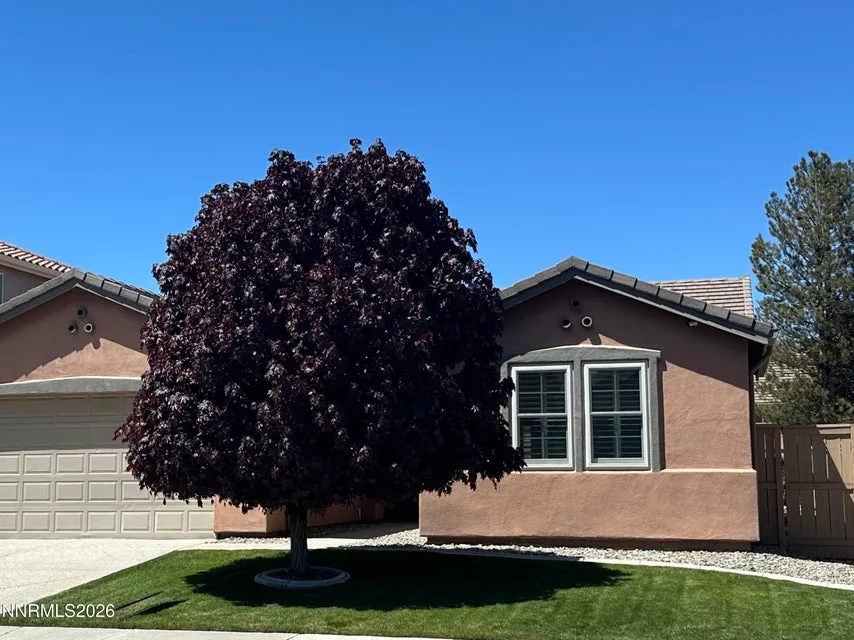 10663 Fort Morgan Way, Reno NV photo 1